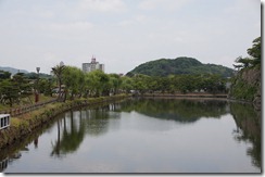 DSC00230