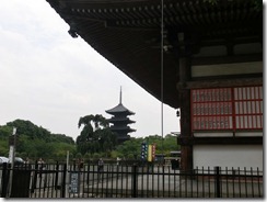 CIMG2405
