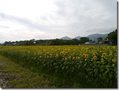 P1080425