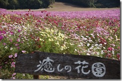 DSC02159