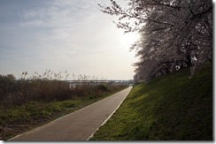 DSC07881