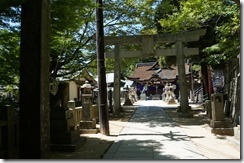 DSC01293
