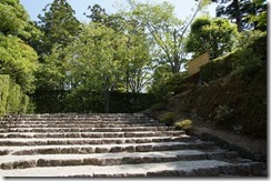DSC08774