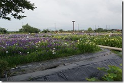 DSC01818