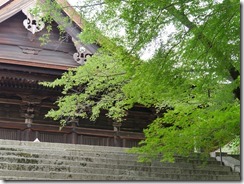P1000060