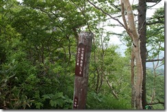 DSC09934