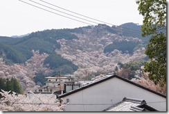 DSC00813