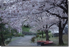 DSC00871