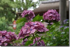 DSC03128