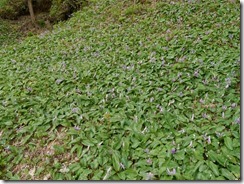 P1010057