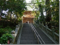 P1010509