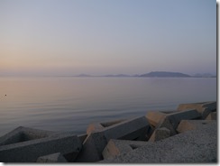 P1010588