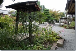 DSC02866