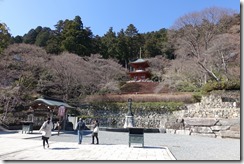 DSC04419