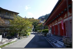 P1000274