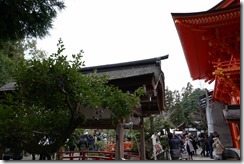 P1000747