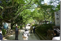 P1010251