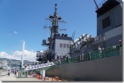 DSS09295