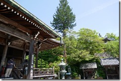 P1010566
