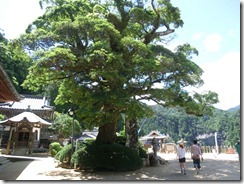 CIMG0447