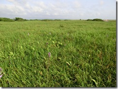 CIMG0937