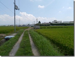 P1000060