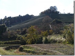 P1020052
