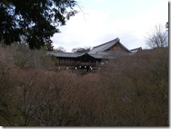 P1030200
