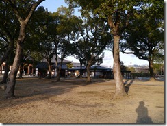 P1030254
