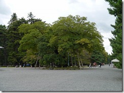 P1010493