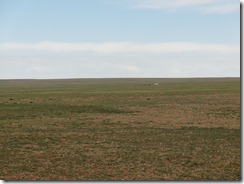 CIMG2547