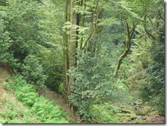 P1110024